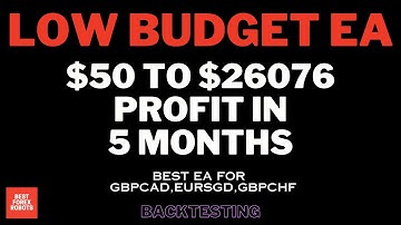 Low Budget EA Forex MT4 Expert Advisor Back Testing | Best forex robots