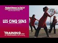 Machol training series  les cinq sens version franaise