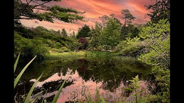 Adobe Photoshop 2021 - 2023 | Sky Replacement with Water Reflection