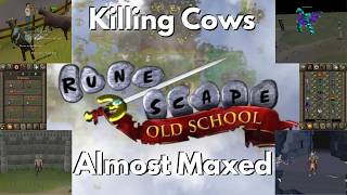 I Spent 6,000 Hours on Old School Runescape...Was It Worth It? screenshot 5