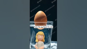 Will the Egg FLOAT or SINK? 🤔| Kids Science Club