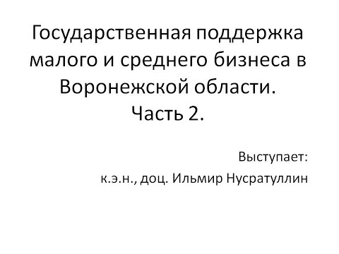 Государственная поддержка малого и среднего бизнеса в Воронежской области. Часть 2