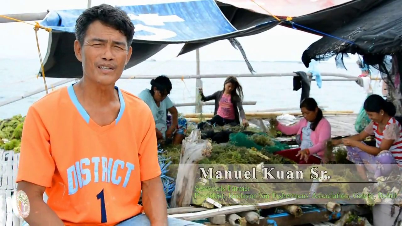 SUCCESS  STORY of SEAWEED FARMER