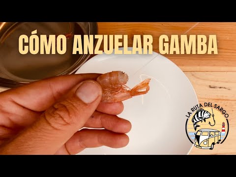 Video: ¿Cuándo es mejor ir a pescar gambas?