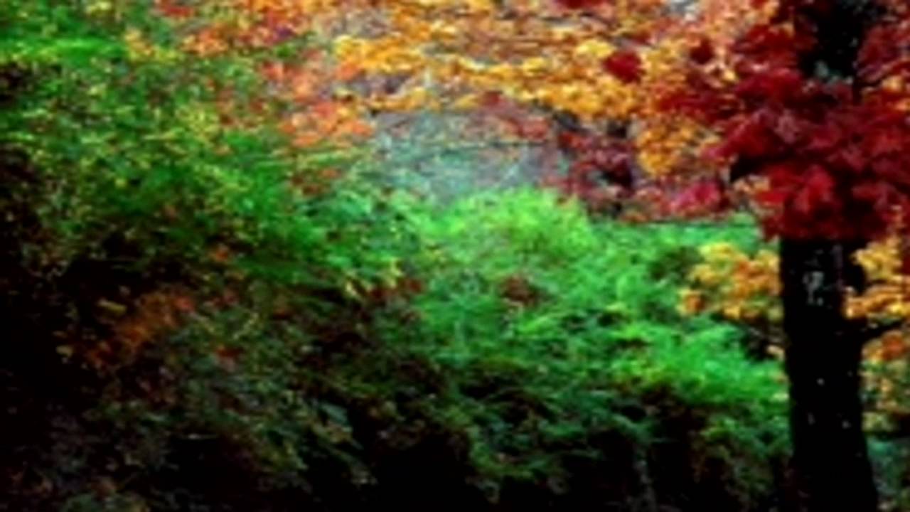 SOÑANDO O DESPIERTO         CAMILO SESTO        IMAGENES DE OTOÑO