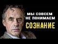 Взгляд Джордана Питерсона на сознание