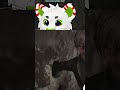 In the hole | #starpyyy on #Twitch #furry
