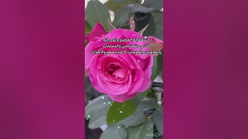 تلاوة خاشعة جميلة للقاري ادريس أبكر/طبيعة وطيور(سبحان الله وبحمده سبحان الله العظيم)