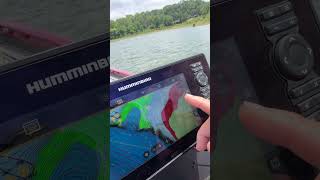 Wow! Contour lines on my Humminbird XPLORE unit.