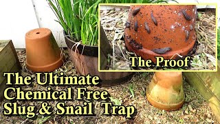 The Ultimate Chemical Free Slug &amp; Snail Garden Trap: 2 Clay Pots Equals Crazy Results!