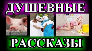 видео: ДУШЕВНЫЕ И ОПТИМИСТИЧЕСКИЕ    РАССКАЗЫ❤️СНЕГОВИХА❤️ЛЮСЯ❤️У РОМАНА ГРУСТНЫЕ ГЛАЗА @TEFI РАССКАЗЫ картинка: ДУШЕВНЫЕ И ОПТИМИСТИЧЕСКИЕ    РАССКАЗЫ❤️СНЕГОВИХА❤️ЛЮСЯ❤️У РОМАНА ГРУСТНЫЕ ГЛАЗА @TEFI РАССКАЗЫ