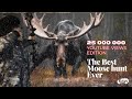 The best moose hunt ever  special 2023 edition 25 000 000 views