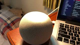 Thêm loa sub cho Homepod mini thì sẽ như thế nào. Tuyệt??????