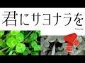桑田佳祐:君にサヨナラを(Cover)