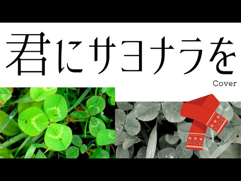 桑田佳祐:君にサヨナラを(Cover)