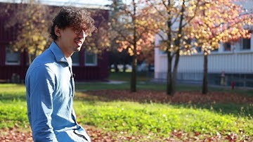 ARS Research - Daniele Meli Ph.D.