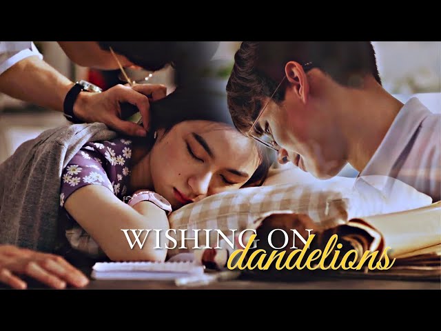wishing on dandelions