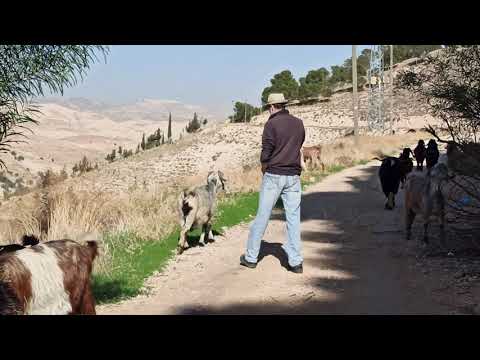 Vídeo: Como Relaxar Em Israel