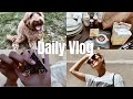 Vlog: getting a dog, getting a job, grocery haul, a lot of chatting & life updates