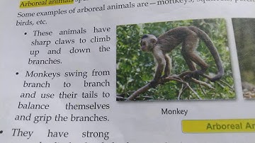 4th, Science,Ch-9(Adaptation in Animals) Part-3