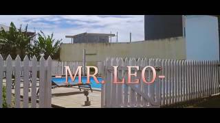 Mr Leo (jamais jamais)