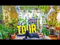 A Tour of My Plants : My Entire Collection