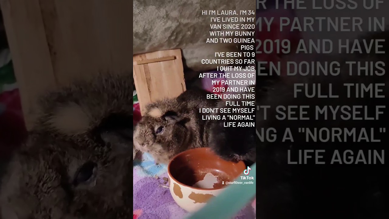 Thought I'd do one of these too... 