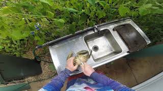 Mud Crab N.T - catch, clean & cook