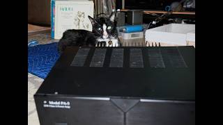 Stu's tweaks on the Michael Yee PA3 amplifier!