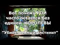 Выживет только одна пчеломатка или не одной.