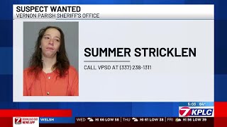 Authorities searching for suspected Leesville porch pirate