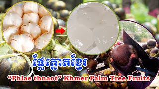 ផ្លែត្នោតខ្មែរ “Phlae thnaot” Khmer Palm Tree Fruits natural fresh fruits