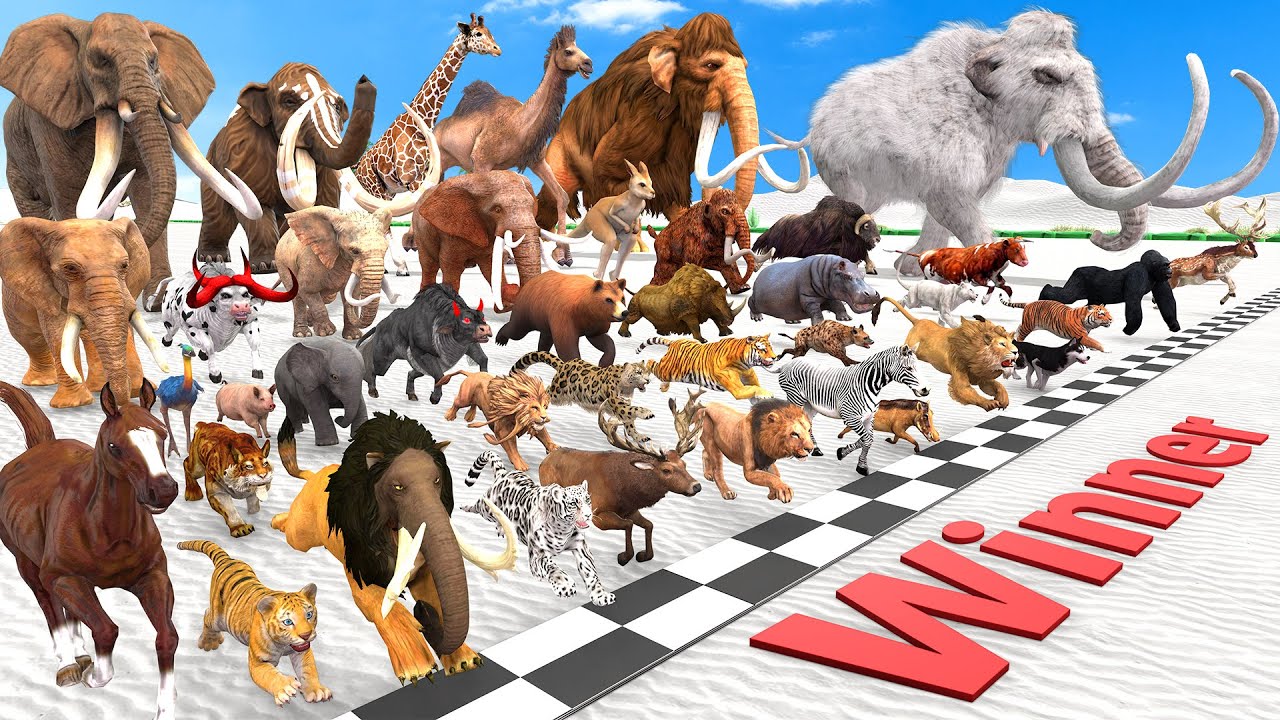 Ultimate Race 40 Wild Animals Speed Challenge: Which is the Fastest? Animal Revolt Battle Simulator