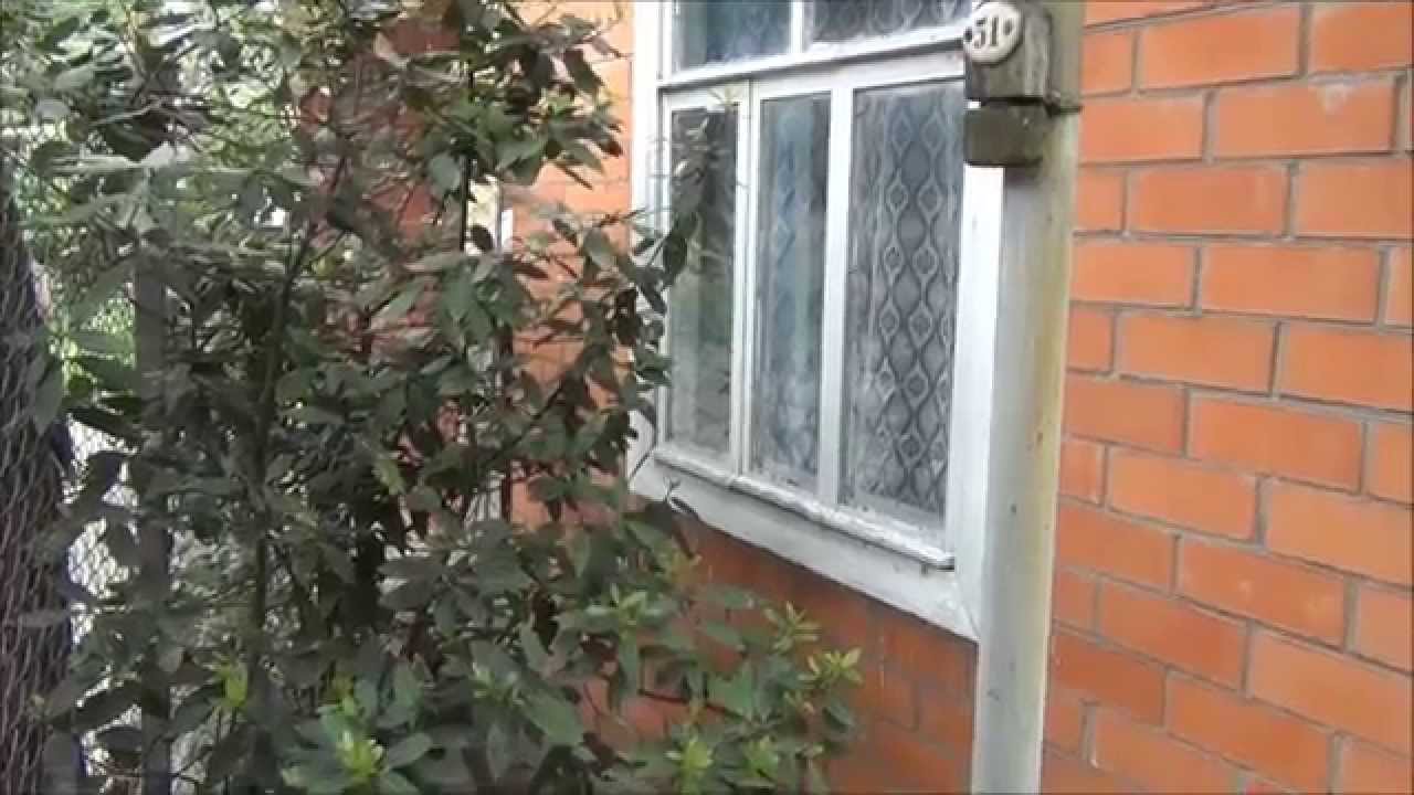 Купить модульный дом в Сочи в пригороде