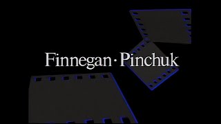 Finnegan-Pinchukdisney Channelbuena Vista International, Inc. 1998