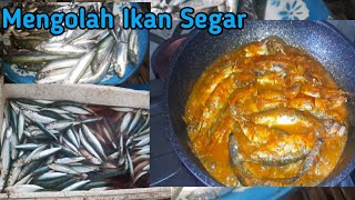 Cara Memasak Ikan Tembang Yang Paling Enak