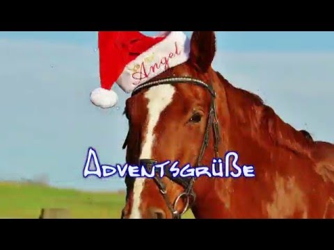 Bildergebnis für 4 Advent 2016 Video