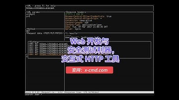 x-cmd | install 📥 (zh)  Wuzz - Web 开发与安全测试利器,交互式 HTTP 工具