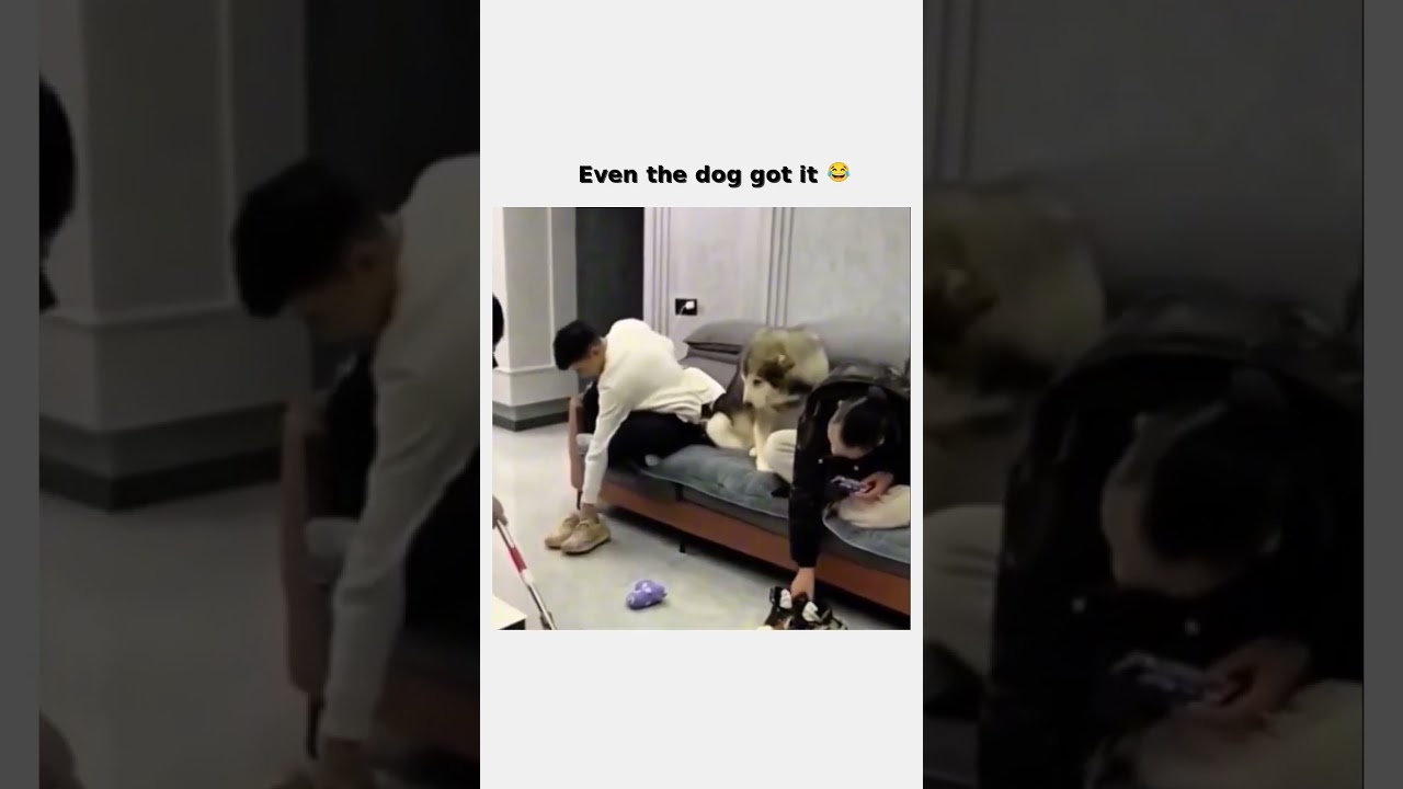 Some humans still need instructions 😂 follow for more #shorts