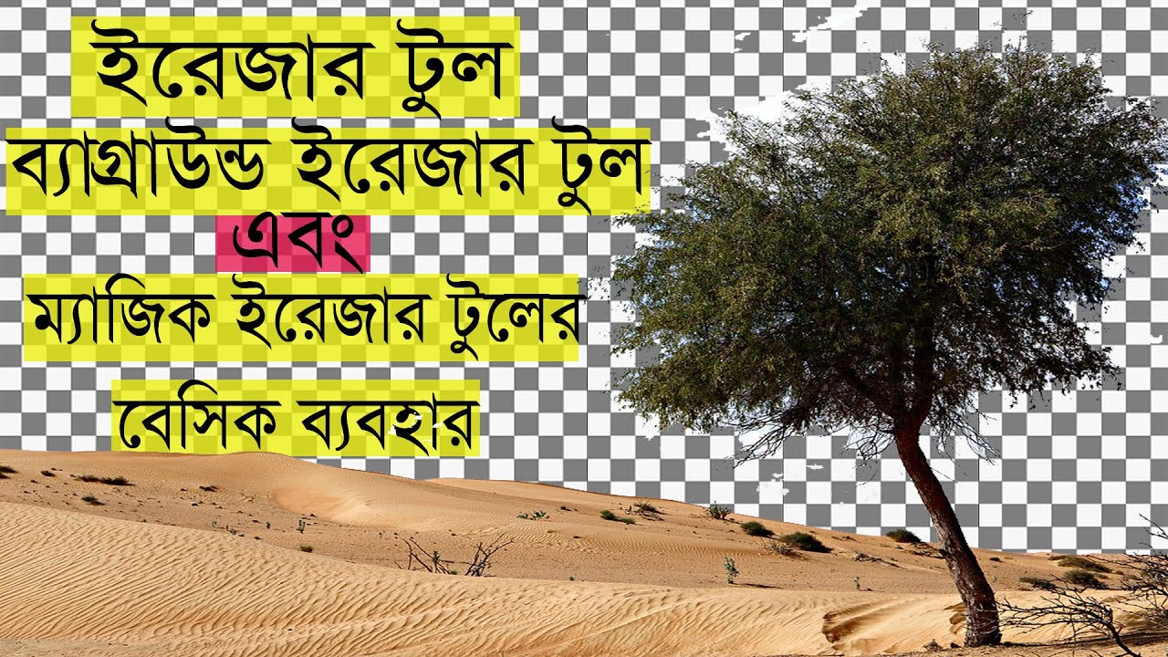 How To Use The Background Eraser Too & Magic Eraser Tool in Photoshop