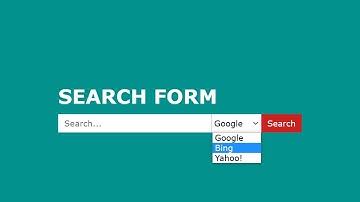 Search Form Select Option | HTML & CSS
