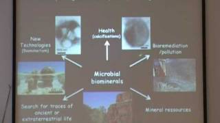 Lecture on Electron Microscopy Eva Nogales Uc Berkeley Introduction To Electron Microscopy