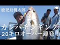 鹿児島桃太郎　カンパチジギング