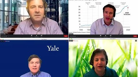 Sustainability in the Post-COVID Economy