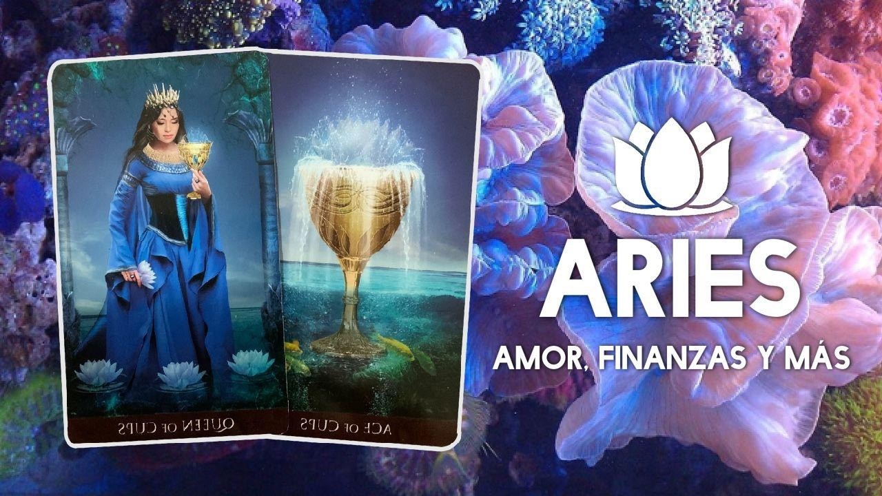 ARIES ♈️ALGUIEN TE ELIGE A TI UNA Y OTRA VEZ 😍 ️‍🔥SU AMOR INFINITO ️‍🔥 ...
