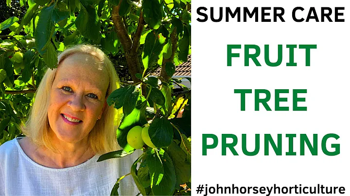 HOW TO PRUNE A VICTORIA PLUM TREE - SUMMER PLUM TREE PRUNING - DayDayNews