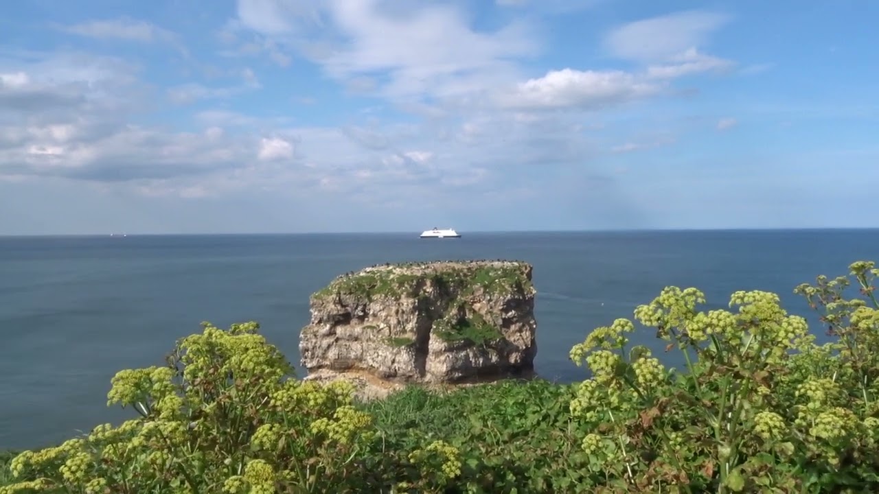 DFDS Newcastle to Amsterdam Holland ferry passes Marsden Rock sea stack Tyneside England 8.5.24