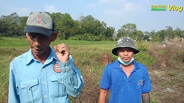 Đặt Bẫy Chuột Cống Nhum Không Mồi (Tập 34) // Kết Qủa Lụm 19 Anh