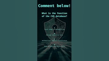 What is the function of the CVE database?