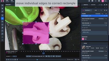 Video annotation tool with new rendering engine
